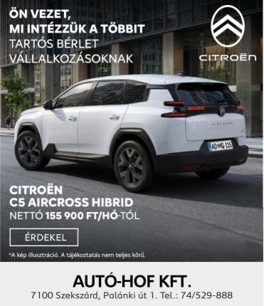 Skandinav Citroen